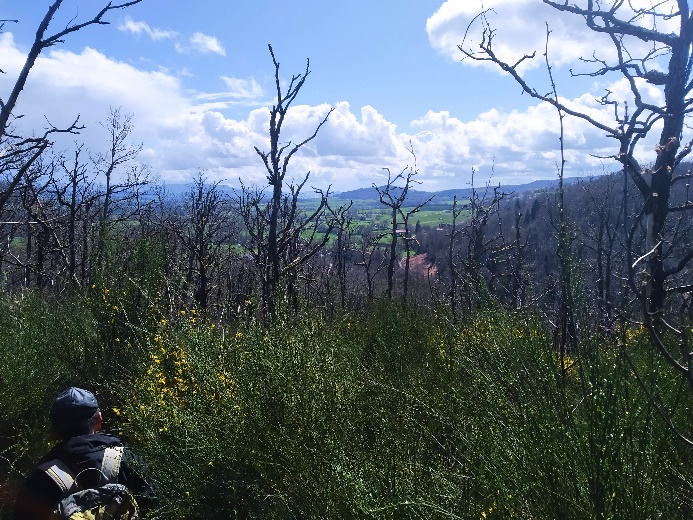 Géologues en fouille dans la forêt