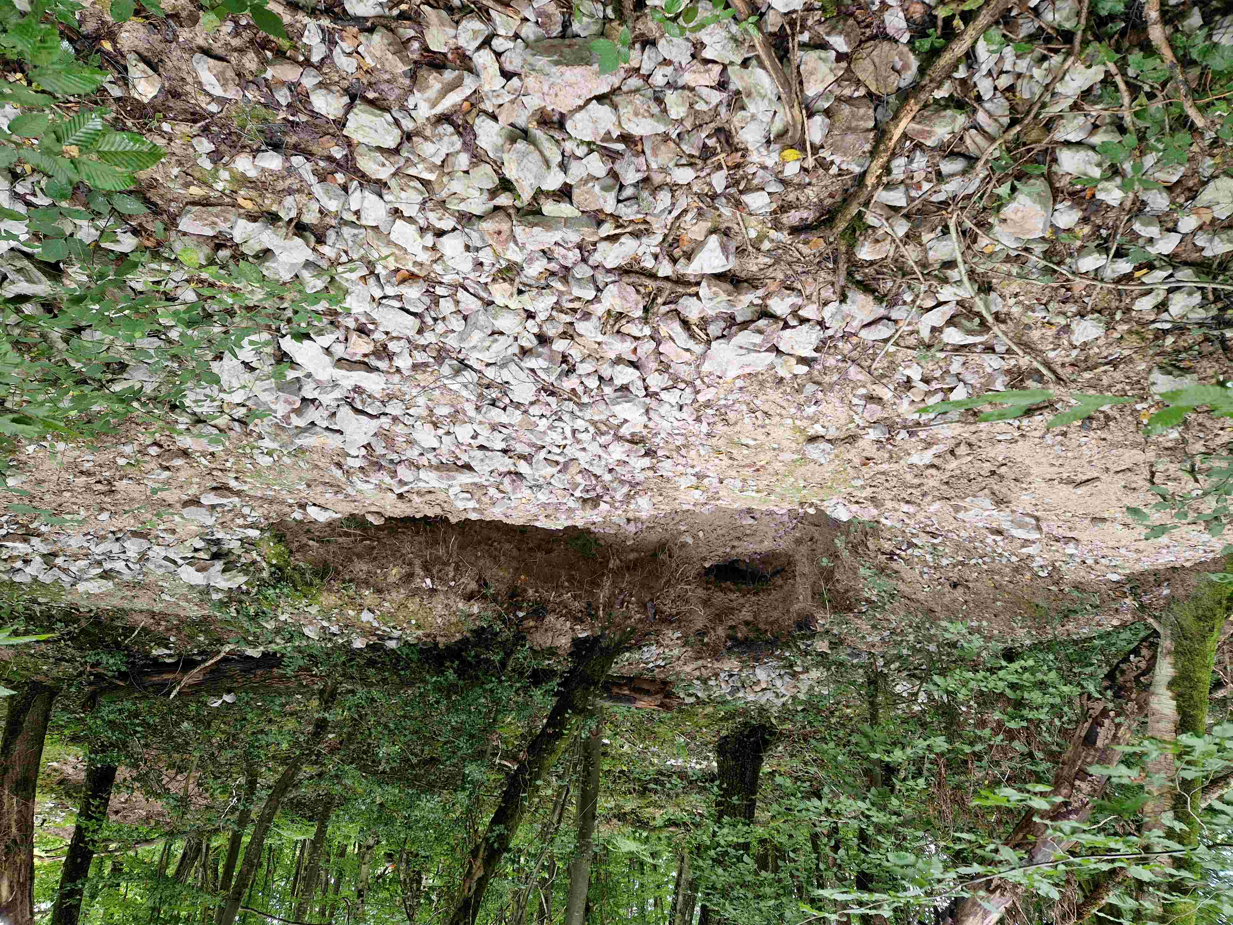 Lieu de fouille